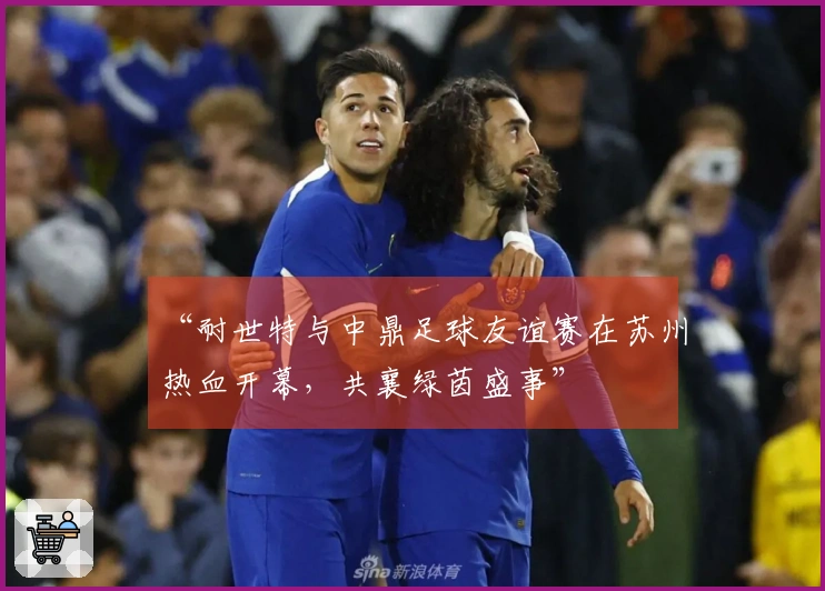 “耐世特与中鼎足球友谊赛在苏州热血开幕，共襄绿茵盛事”