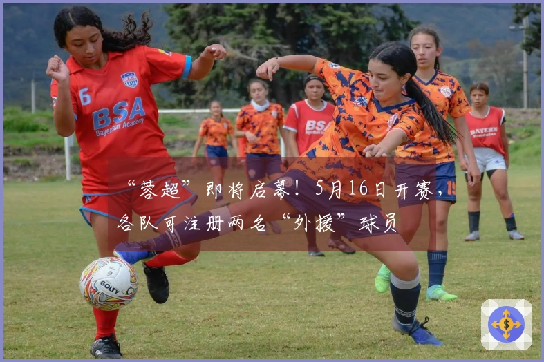 “蓉超”即将启幕！5月16日开赛，各队可注册两名“外援”球员